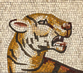Ancient Tiger