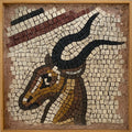 Lod Antelope